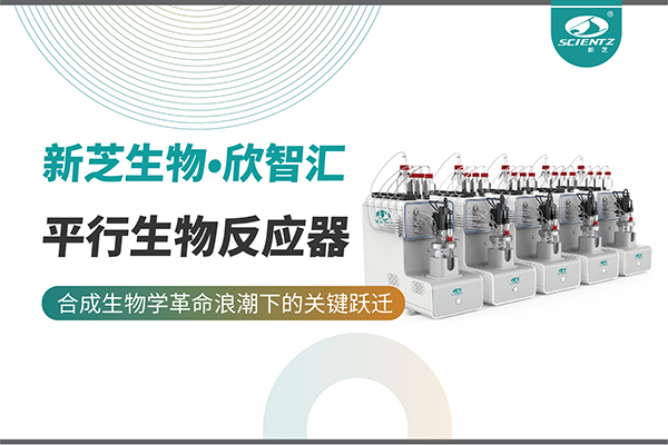 培養菌株和評估工藝參數影響太難太慢？平行生物反應器提供關鍵解決方案！